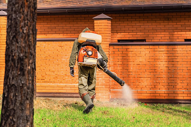 Trusted Termite Control service in Trotwood, OH - Nex Pest Control